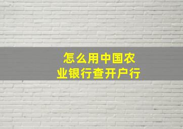 怎么用中国农业银行查开户行