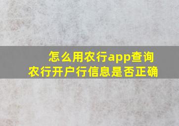 怎么用农行app查询农行开户行信息是否正确