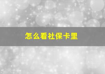 怎么看社保卡里