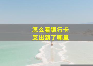 怎么看银行卡支出到了哪里