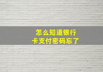 怎么知道银行卡支付密码忘了