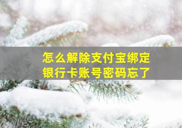 怎么解除支付宝绑定银行卡账号密码忘了