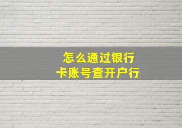 怎么通过银行卡账号查开户行