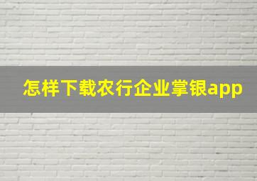 怎样下载农行企业掌银app