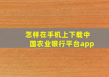 怎样在手机上下载中国农业银行平台app