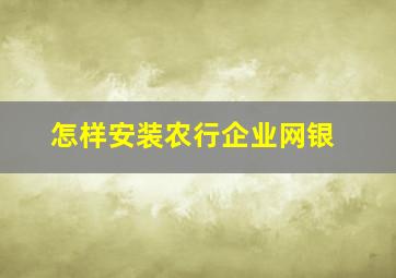 怎样安装农行企业网银