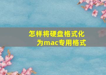 怎样将硬盘格式化为mac专用格式