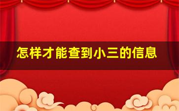 怎样才能查到小三的信息