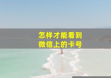 怎样才能看到微信上的卡号