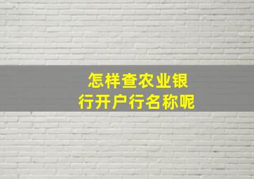 怎样查农业银行开户行名称呢