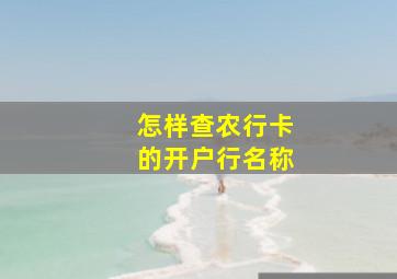 怎样查农行卡的开户行名称