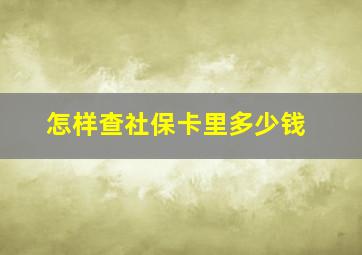 怎样查社保卡里多少钱