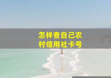 怎样查自己农村信用社卡号