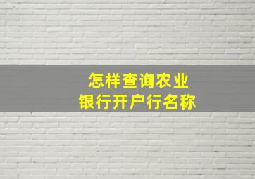 怎样查询农业银行开户行名称