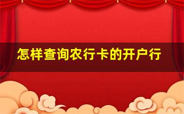 怎样查询农行卡的开户行