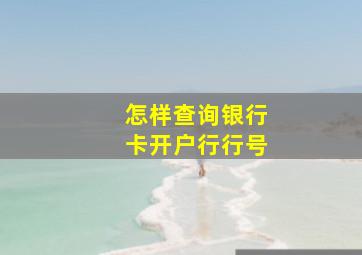 怎样查询银行卡开户行行号