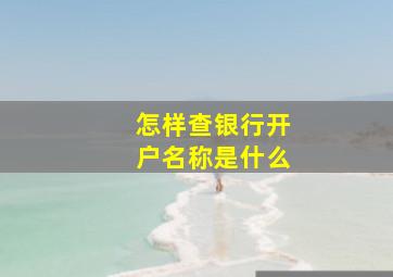 怎样查银行开户名称是什么