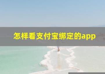 怎样看支付宝绑定的app