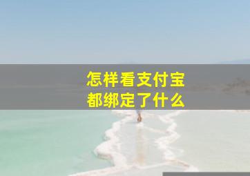 怎样看支付宝都绑定了什么