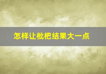 怎样让枇杷结果大一点