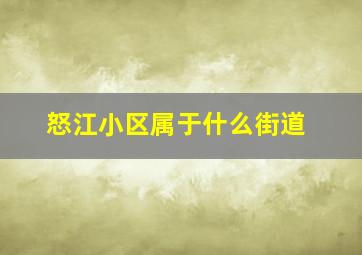 怒江小区属于什么街道