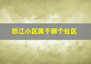 怒江小区属于哪个社区