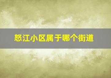 怒江小区属于哪个街道