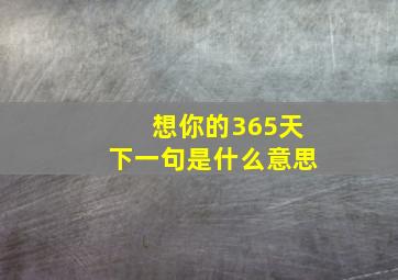 想你的365天下一句是什么意思