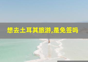 想去土耳其旅游,是免签吗