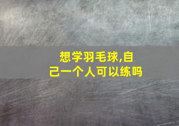 想学羽毛球,自己一个人可以练吗