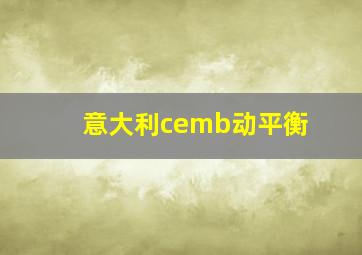 意大利cemb动平衡