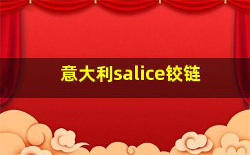 意大利salice铰链