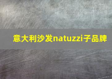 意大利沙发natuzzi子品牌