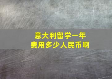 意大利留学一年费用多少人民币啊