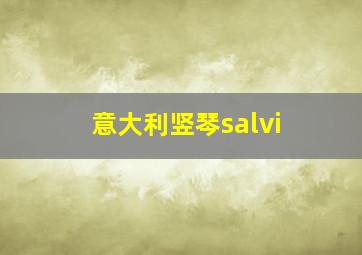 意大利竖琴salvi