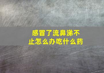 感冒了流鼻涕不止怎么办吃什么药