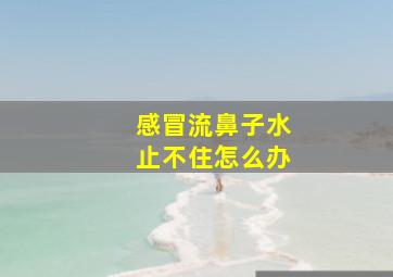 感冒流鼻子水止不住怎么办