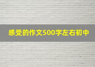 感受的作文500字左右初中