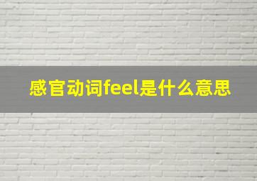 感官动词feel是什么意思