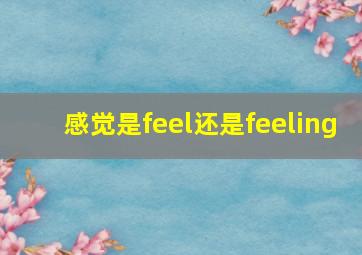 感觉是feel还是feeling