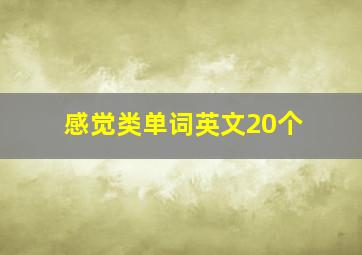 感觉类单词英文20个