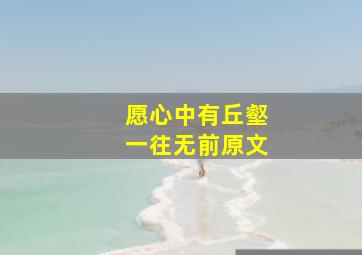 愿心中有丘壑一往无前原文