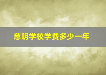 慈明学校学费多少一年