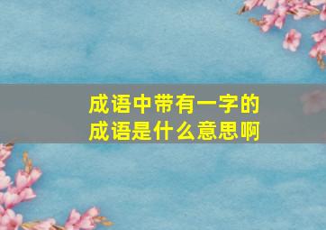 成语中带有一字的成语是什么意思啊