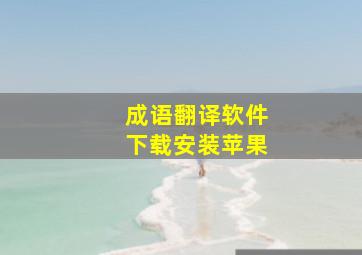 成语翻译软件下载安装苹果