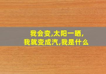 我会变,太阳一晒,我就变成汽,我是什么