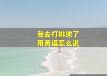 我去打排球了用英语怎么说