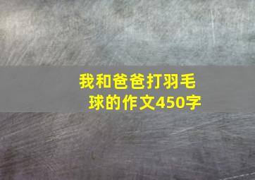 我和爸爸打羽毛球的作文450字