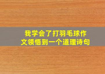 我学会了打羽毛球作文领悟到一个道理诗句