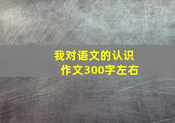 我对语文的认识作文300字左右